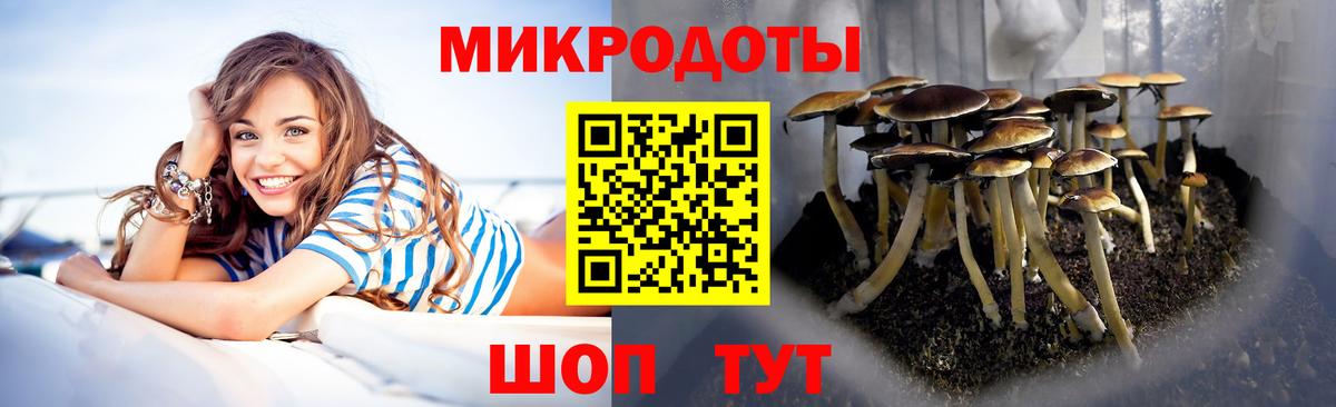 Псилоцибиновые грибы Cubensis  Артёмовский 